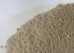 生蚝粉的功效与作用（生蚝粉有用吗）