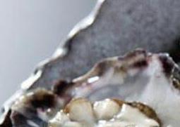 牡蛎怎么吃 中药牡蛎怎么吃