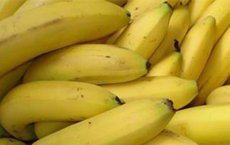 芭蕉和香蕉的区别 芭蕉和香蕉的区别里边都含什么成分