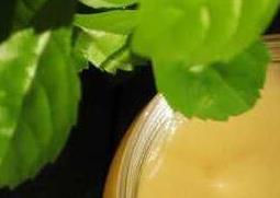 鸭脚木蜂蜜的功效与作用 鸭脚木蜂蜜的功效与作用说明图片