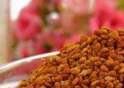 茶花粉的功效与作用及禁忌（茶花粉的功效与作用及禁忌症）