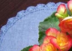 海棠花的养殖方法与注意事项（海棠花的养殖方法与注意事项视频）