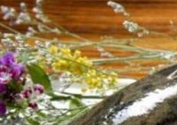 竹壳鱼的功效与作用（竹壳鱼的功效与作用图片）