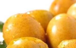 南酸枣的功效与作用 南酸枣的功效与作用图片