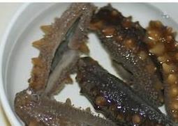 干海参的家常做法 干海参的家常做法大全