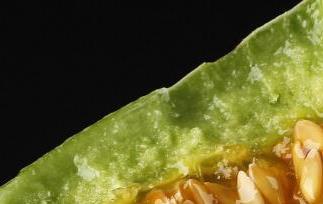 羊角蜜和羊角脆的区别 羊角蜜和羊角脆的区别图