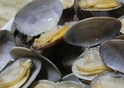 贝壳的营养价值及功效 贝壳有什么营养?