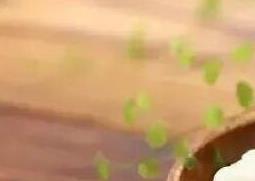 椴树蜜的作用与功效 椴树蜜结晶真假图片