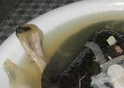 喝甲鱼汤的功效与作用 喝甲鱼汤的功效与作用禁忌