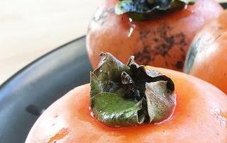 懒柿子的功效与作用及禁忌（懒柿子吃着有什么好处）