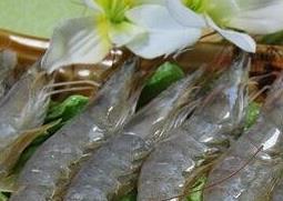 大虾和什么食物相克(大虾和什么食物相克不能吃)