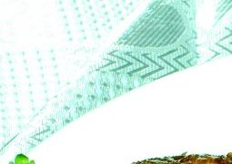 红烧黄鱼材料和做法 黄鱼红烧的做法