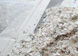 牡蛎粉的功效与作用(婴儿牡蛎粉的功效与作用)