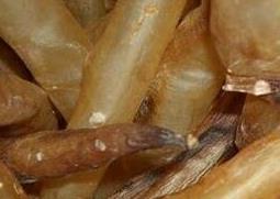 鳗鱼胶的功效与作用（小孩可以吃鳗鱼胶的功效与作用）