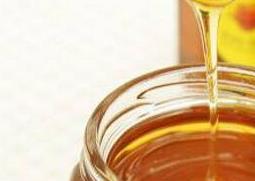 龙眼蜜的作用与功效 龙眼蜜的作用与功效与作