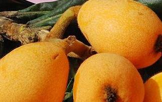 枇杷可以生吃吗（枇杷可以生吃吗有毒吗）