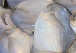 鲳鱼怎么做好吃 鲳鱼怎么做好吃又简单视频