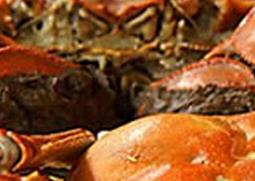 螃蟹怎么吃才不会太寒（螃蟹怎么吃才不会太寒冷）