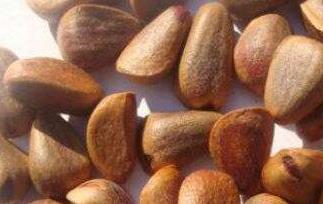 炒松子的功效与作用 松子的功效与作用吃法