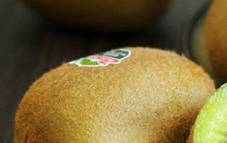 绿果猕猴桃怎么吃 绿皮猕猴桃怎么吃