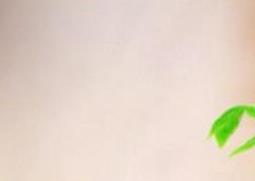 绿宝树的养殖方法和注意事项（绿宝树的养殖方法和注意事项盆栽）