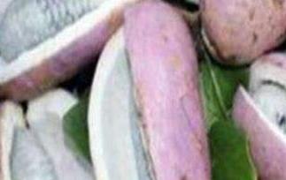 八月瓜皮泡酒的功效与作用及副作用 八月瓜皮泡酒的功效与作用及副作用是什么