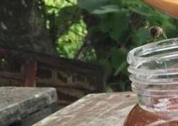 荆花蜜的功效与作用（荆花蜜的功效与作用及食用方法）