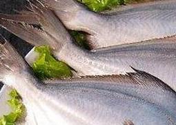 鲳鱼的营养价值与食用功效（鲳鱼的营养价值与食用功效与作用）