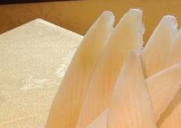 鱼翅的食用禁忌（鱼翅的食用禁忌和副作用）