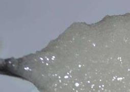 白蜂蜜和黄蜂蜜的差别（白蜂蜜和黄蜂蜜的差别是什么）