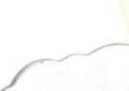 雪脂莲蜜如何辨别（雪脂莲花蜜）