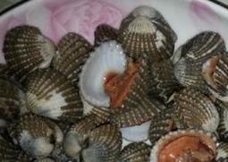 血蚶的做法大全（血蚶的做法与吃法）