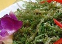 鹿角菜和珊瑚草的区别 鹿角菜和珊瑚草的区别图片