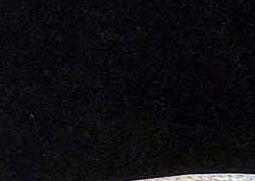 鲑鱼种类和营养 鲑鱼种类和营养成分