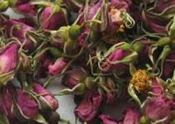 野生玫瑰花的功效和图片