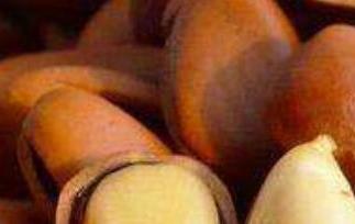 红松子仁和白松子仁的区别 吃松子仁的好处