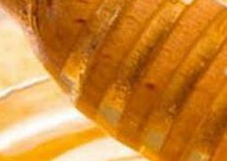 蜂蜜不能和什么同食