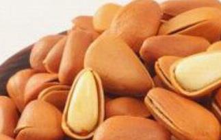 东北松子的功效和作用（东北松子的功效与作用）