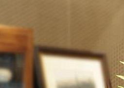 盆栽金钱树如何种植 盆栽金钱树如何种植