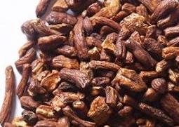 蒲公英茶如何挑选（蒲公英茶怎么选好）