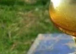 酸枣花蜜的功效与作用及药用价值 酸枣花蜜的功效与作用及药用价值图片