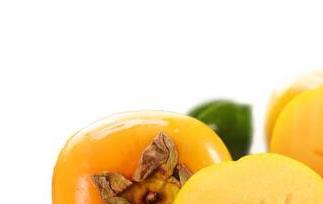 硬柿子的功效与作用 硬柿子的功效与作用图片