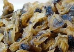 孕妇吃蚝干的营养价值（孕妇能吃蚝干吗）