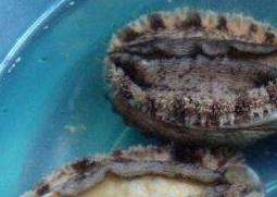 鲍鱼怎么清洗 鲍鱼怎么做最简便最好吃呢