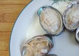 养殖鲍鱼壳的药用价值 鲍鱼壳的营养价值