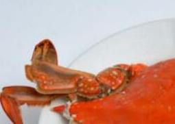 海里的螃蟹死了多久不能吃了（海里的螃蟹死了多久不能吃了视频）