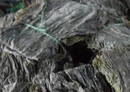 干海带的功效与作用 干海带的功效与作用是什么