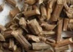 醋柴胡的功效与作用