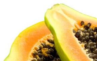 番木瓜的功效与作用（番木瓜的功效与作用的功能与主治）