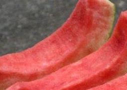 长寿花冬季的养殖方法和注意事项 长寿花冬季的养殖方法和注意事项图片